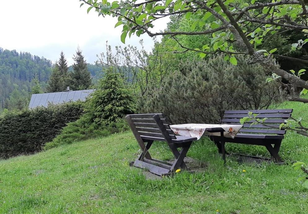 Villa Fleurs De Myto Mýto pod Ďumbierom Esterno foto