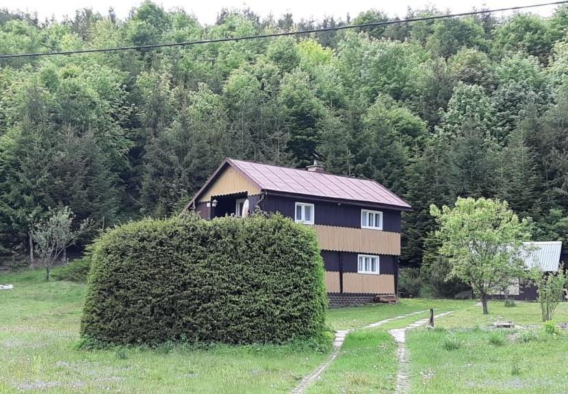 Villa Fleurs De Myto Mýto pod Ďumbierom Esterno foto